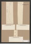 Pleurosigma marinum Donk. (de-Toni-Nr.: Genus 13, Species 1009) Zeichnungen Sammlung Grunow Nr. 2057 (NHMW-BOT-W0368916)